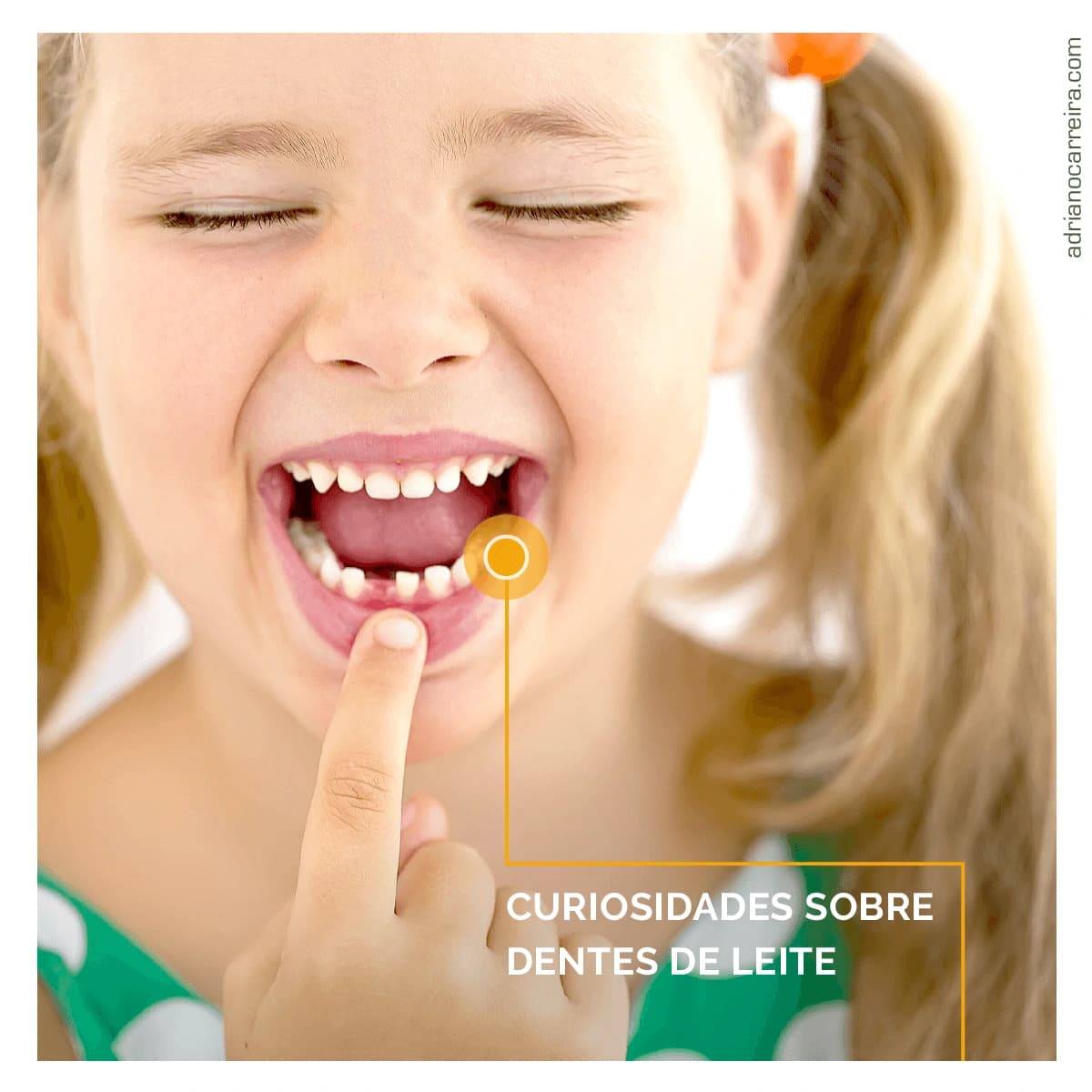 10  Curiosidades sobre os Dentes de Leite