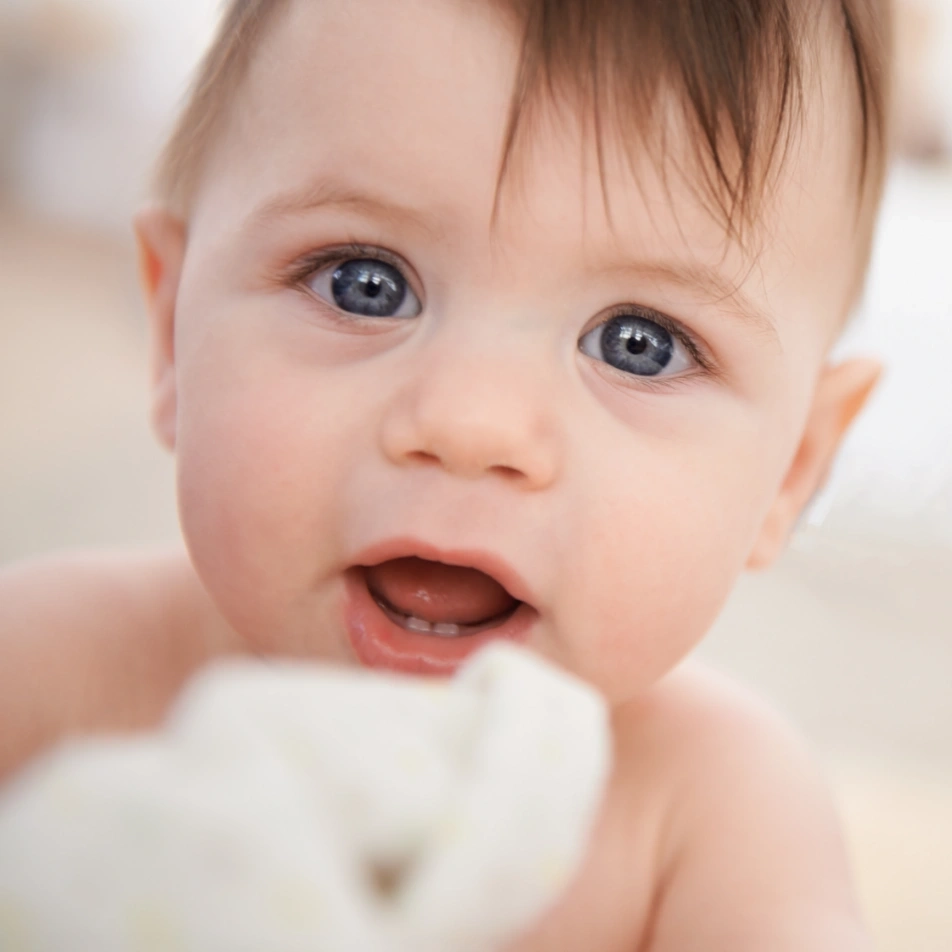 A higiene oral deve começar desde bebé | Carreira Dental Clinic A higiene oral deve começar desde bebé