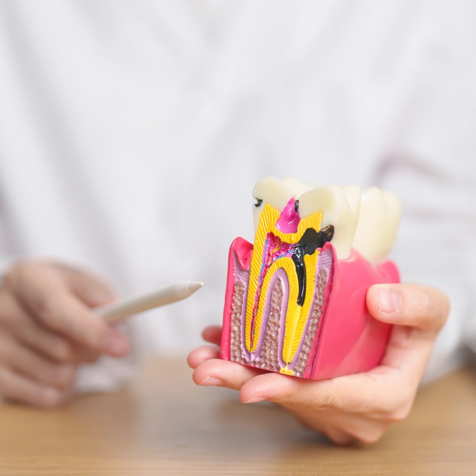 Carreira Dental Clinic