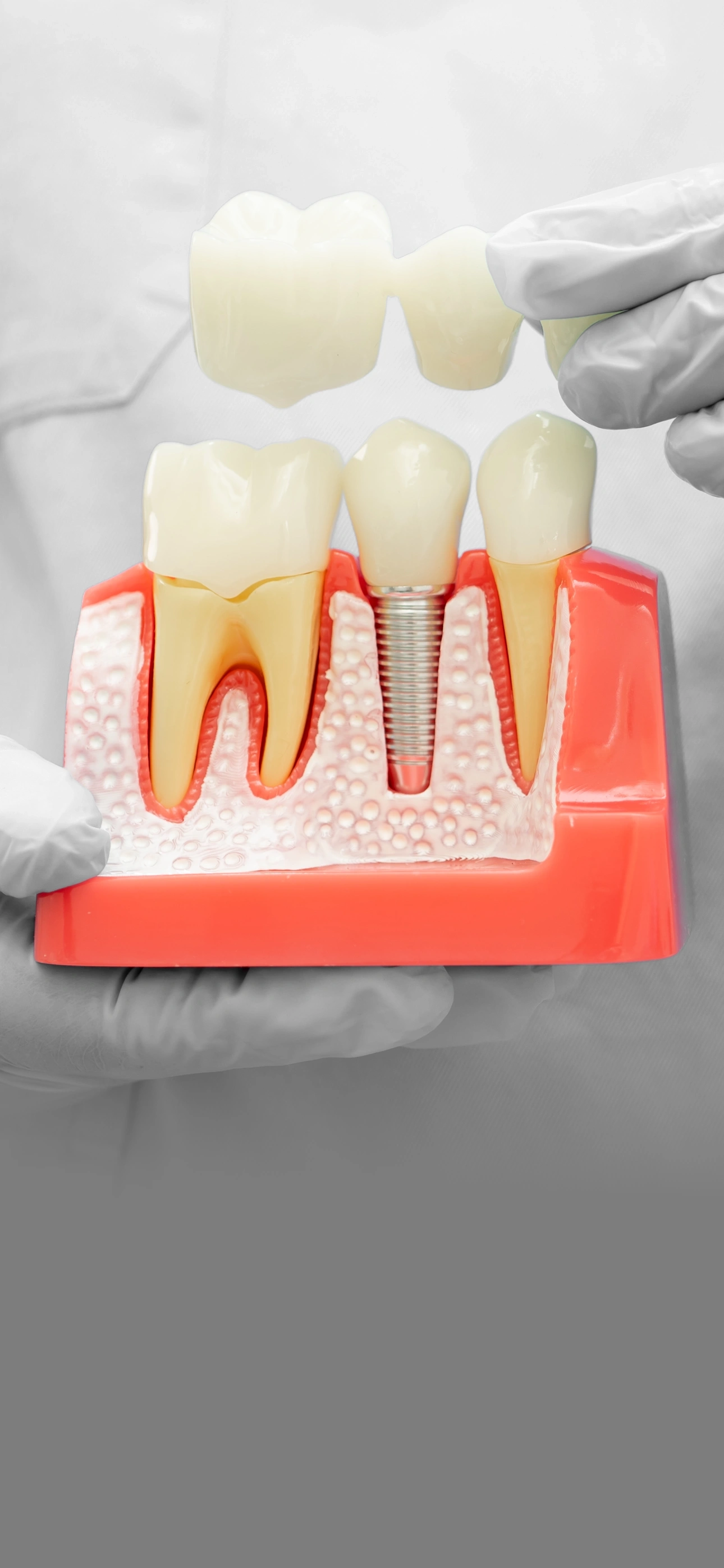 Carreira Dental Clinic