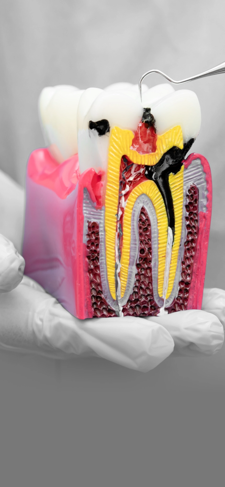 Carreira Dental Clinic